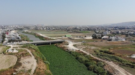 Asi Nehri'nde su sümbülleri istilası