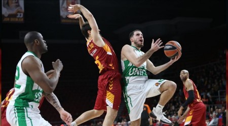 Aslan çıkış arıyor
