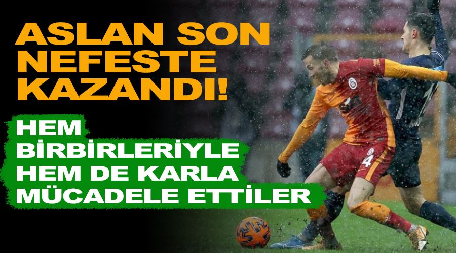 Aslan son nefeste kazandı! Hem birbirleriyle hem de karla mücadele ettiler