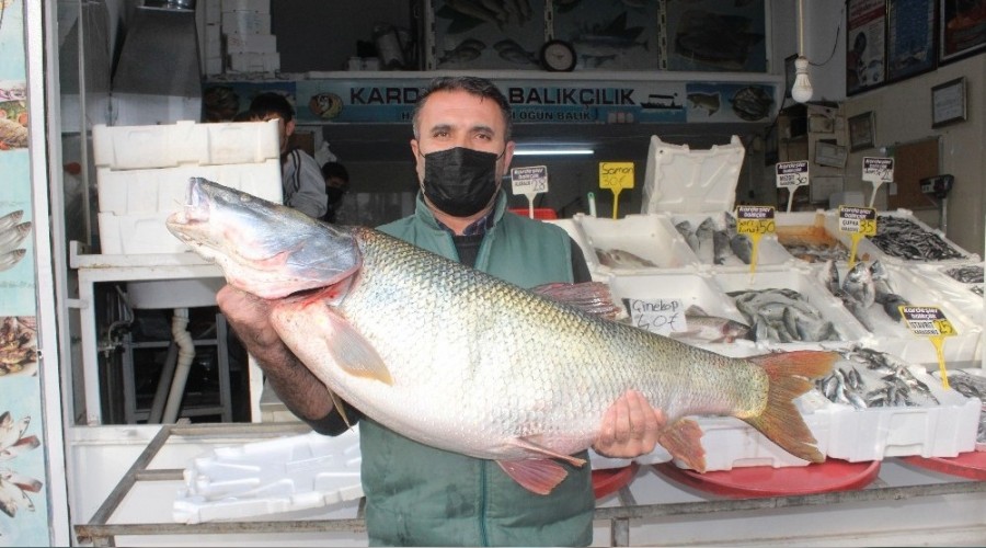 Atat�rk Baraj�'nda dev turna bal��� yakaland�