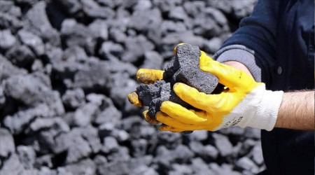 Avrupa çevreyi bir kenara bıraktı, enerjide dümeni kömüre kırdı!