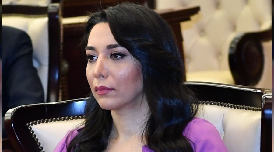 Azerbaycan Ombudsmaný, Karabað'ý Ýtalya'da anlattý