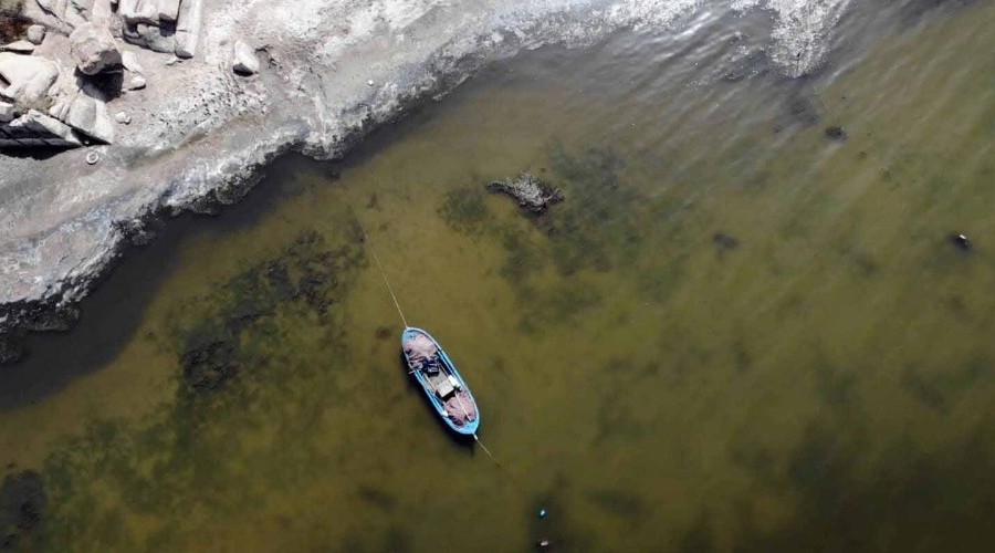 Bafa G�l�'ndeki bal�k �l�mleri ara�t�r�l�yor