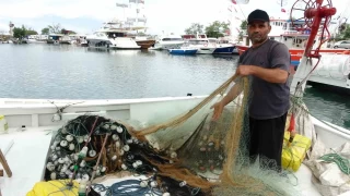 Balklar 1 Eyll' iple ekiyor: 'Umudumuz hamsi'