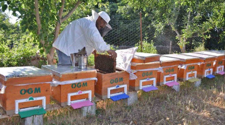 Balıkesir'in Bal şehri olduğu tescillendi