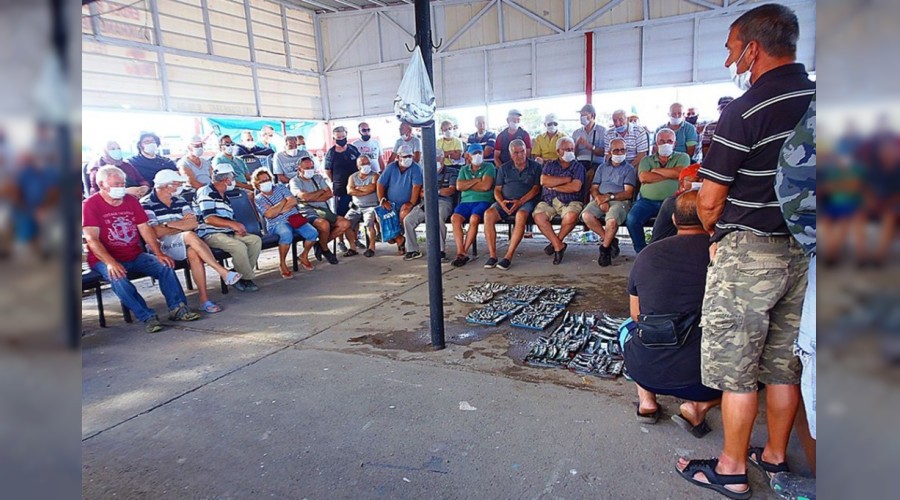 Balıklar açık artırma ile satılıyor