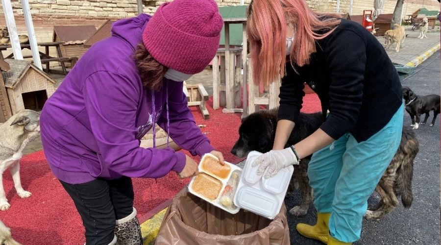 Bayat ekmekler hayvanlara a� oluyor