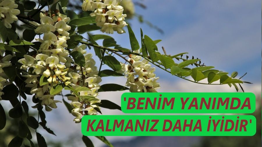 ‘Benim yanımda kalmanız daha iyidir’