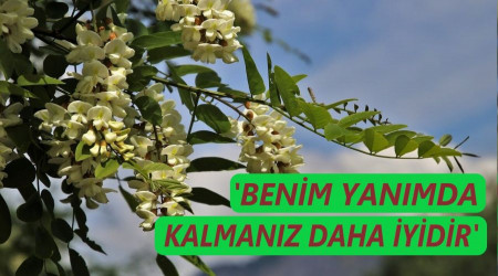 Benim yanmda kalmanz daha iyidir