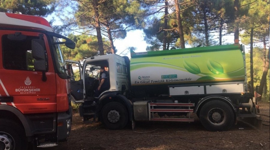 Beykoz'da ormanlık alanda korkutan yangın