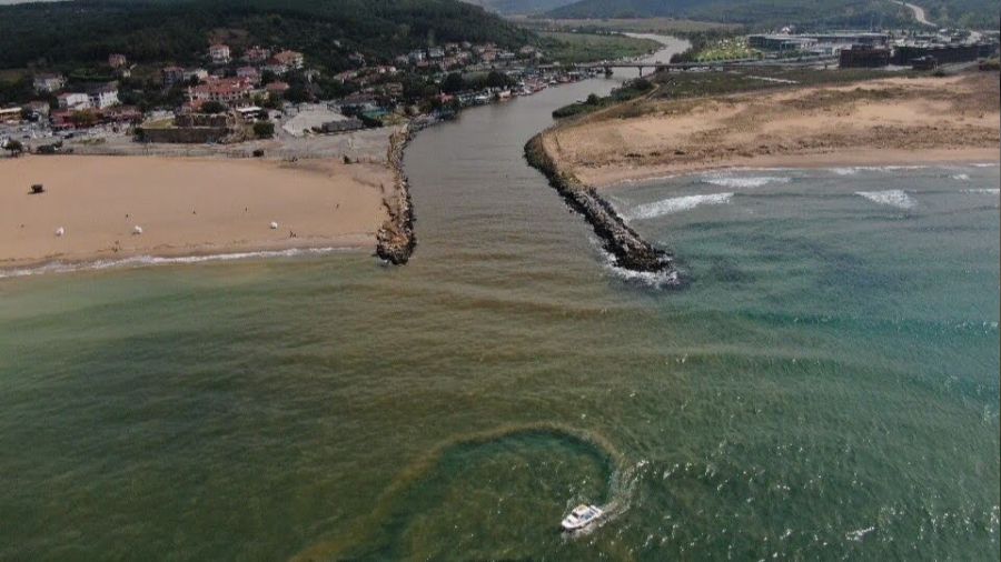 Beykoz'da Riva sahili çamura bulandı
