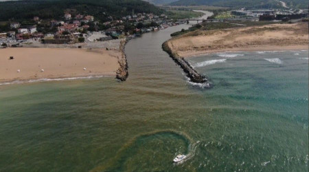 Beykoz'da Riva sahili çamura bulandı
