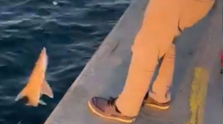 Beykoz'da şaşkına çeviren olay: Vatandaşın oltasına köpek balığı takıldı