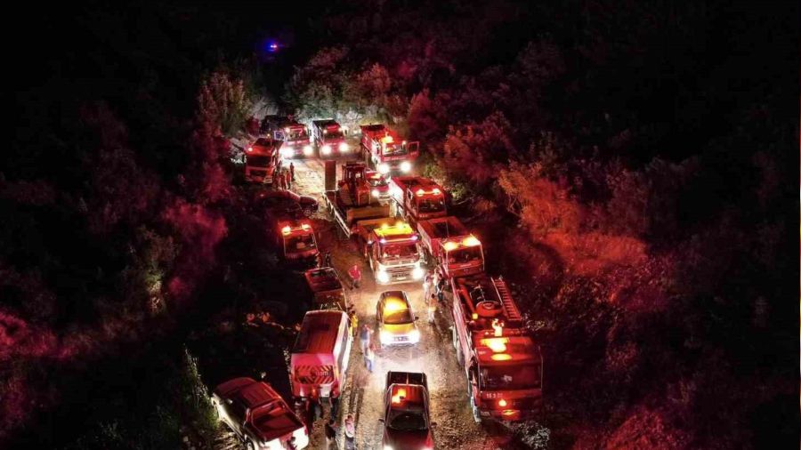 Bilecik'te ayn� anda 6 noktada ��kan orman yang�n�nda 1 hektar alan k�l oldu