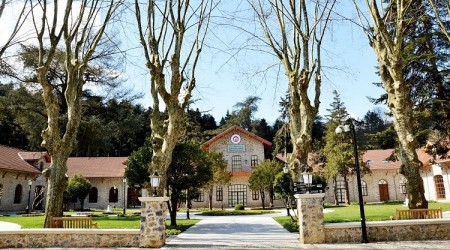 Billur Müzesi ziyarete açılıyor