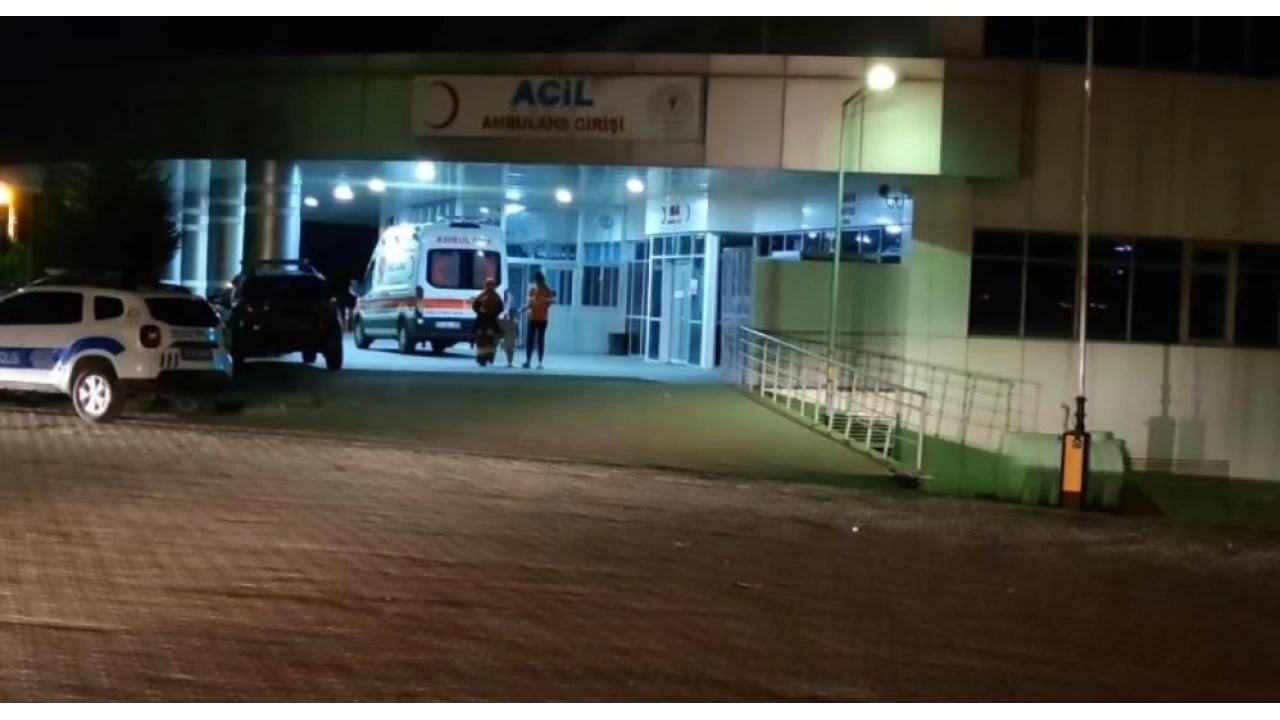 Bingöl'de trafik kazası: 8 yaralı