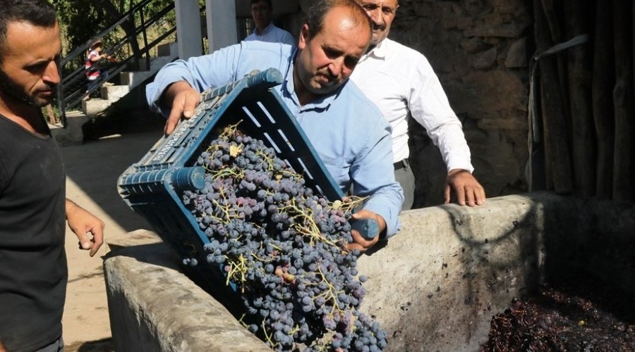 Bir asırdır doğal yollarla üzüm pekmezi yapıyorlar