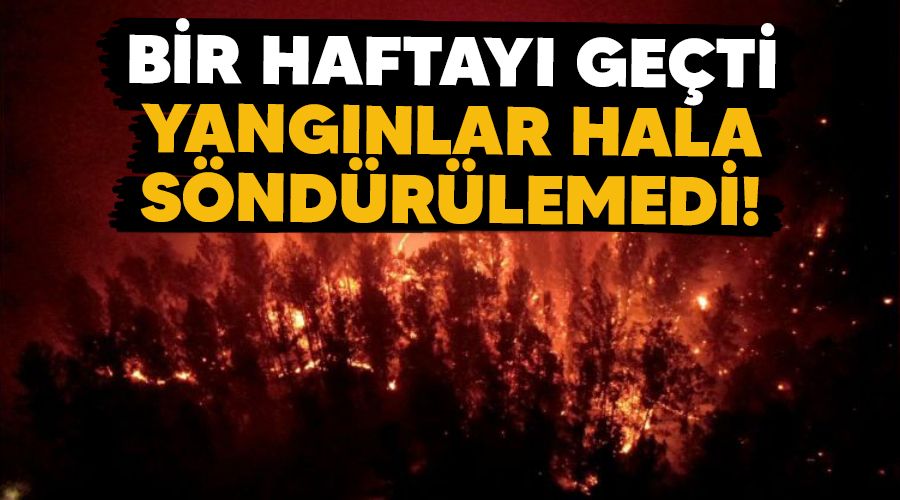 Bir haftay geti, yangnlar hala sndrlemedi!