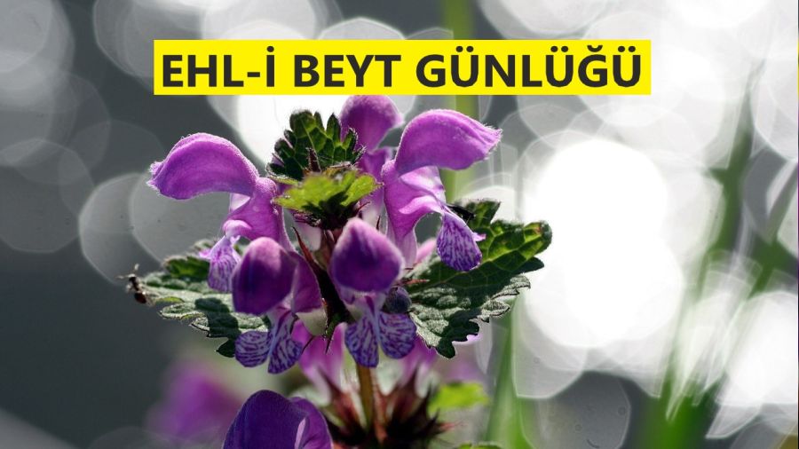 Bir m��mini doyuran�, Allah doyurur