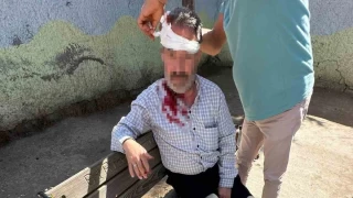 Birecik'te adliye nnde akraba iki aile arasnda kavga: 5 yaral