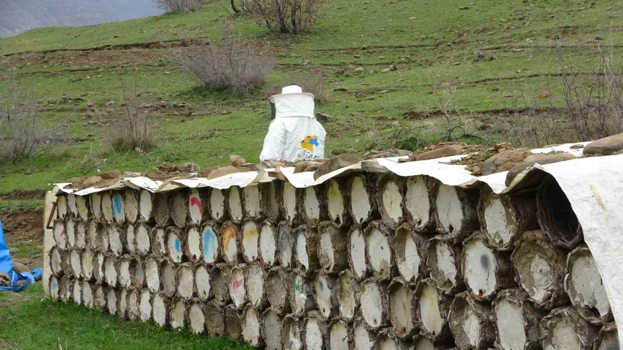 Bitlis balına bir altın ödül de Paris'ten