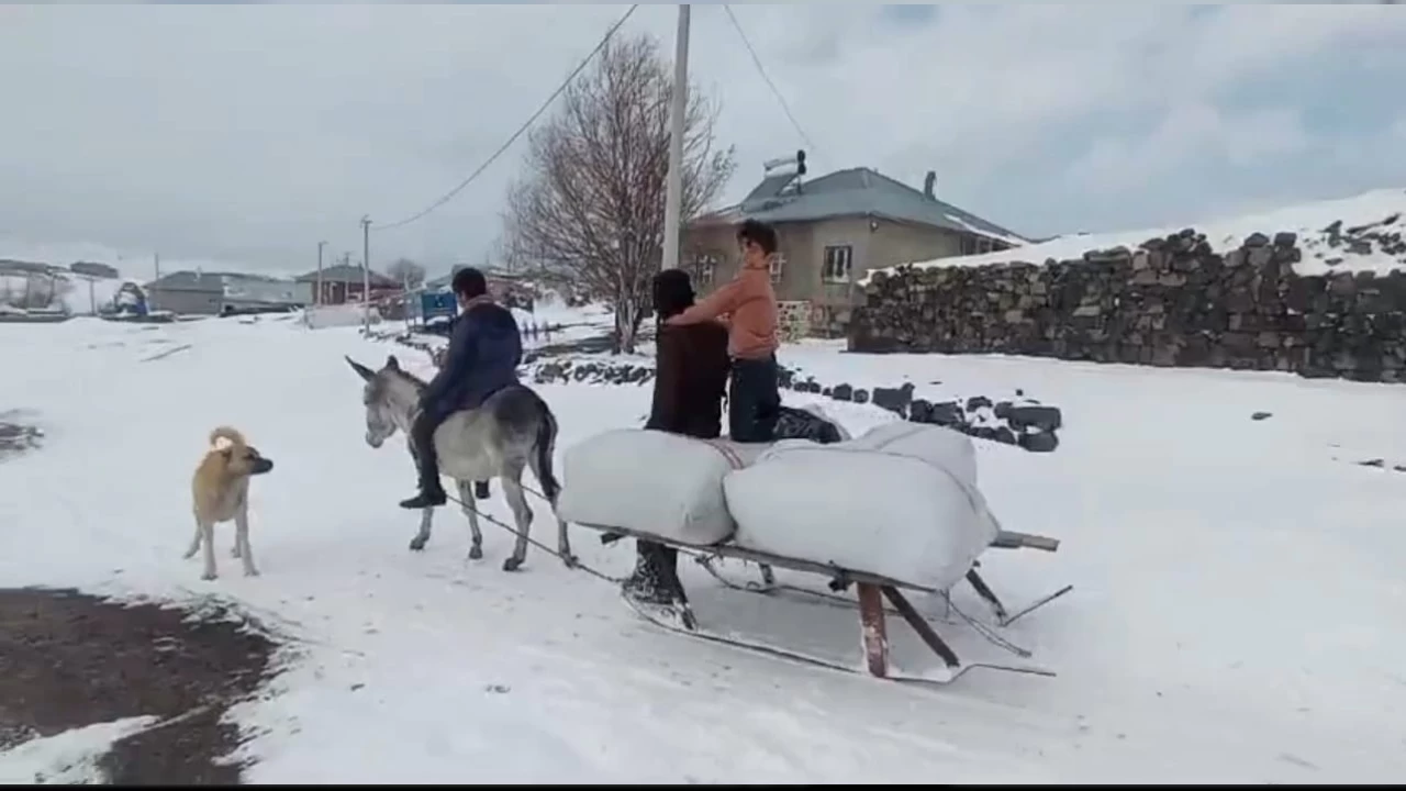 Bitlis'te hayvan yeti�tiricilerinin zorlu k�� mesaisi