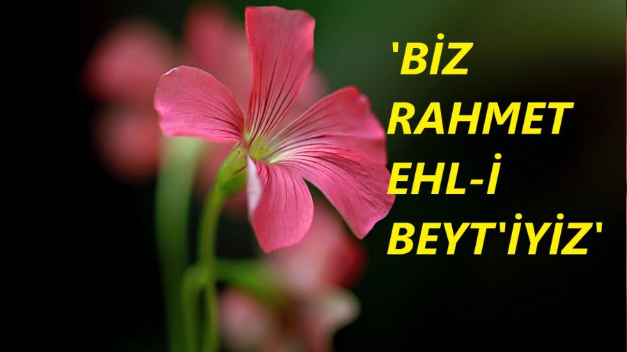 ‘Biz rahmet Ehl-i Beyt’iyiz’