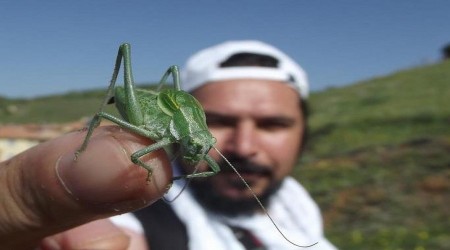 ”Böcek istilasına uğrayabiliriz”