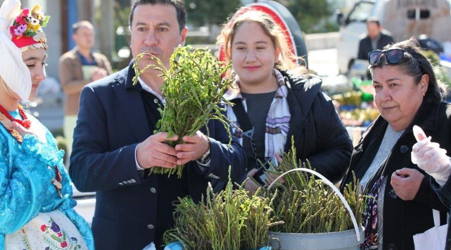 Bodrum acı ot festivaline binlerce kişi akın etti