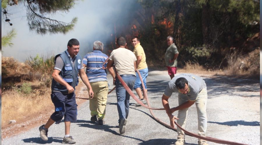 Bodrum'da 13 hektar alan k�le d�nd�