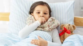 Bomaca alarm: Vakalar neden artyor? 