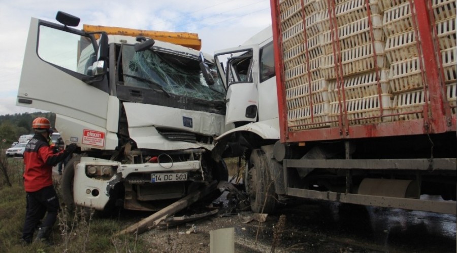 Bolu'da 2 kamyon kafa kafaya çarpıştı