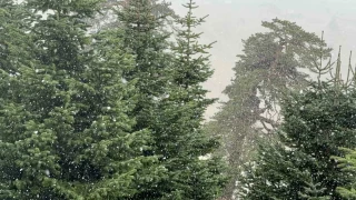 Bolu'da mevsimin ilk kar yad