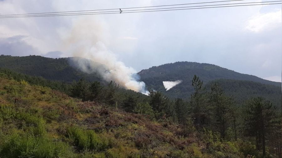 Bolu'da yeni bir orman yang�n� ba�lad�