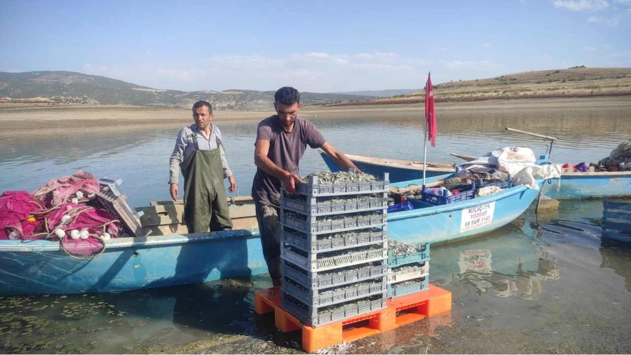 Bozkırın ortasındaki Çekerek'ten Avrupa'ya balık ihracatı