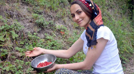 Bu çileğin kilosu 200 TL