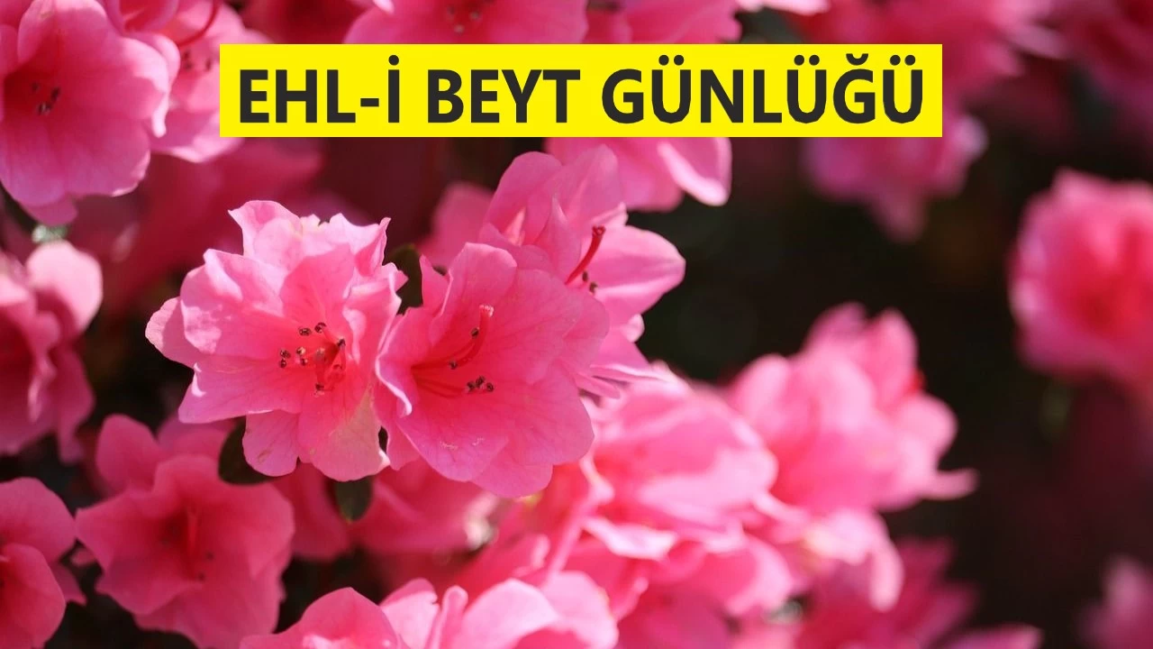 �Bu ev f�s�klar�n evidir�