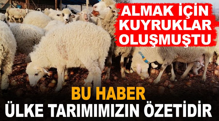 Bu haber �lke tar�m�m�z�n �zetidir