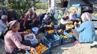 Bu kyde 7'den 70'e herkes alyor