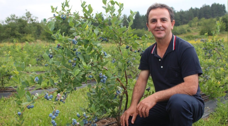 Bu meyvenin kilosu 60 TL
