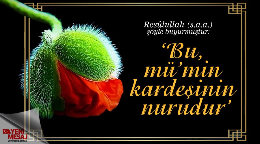 Bu, mmin kardeinin nurudur