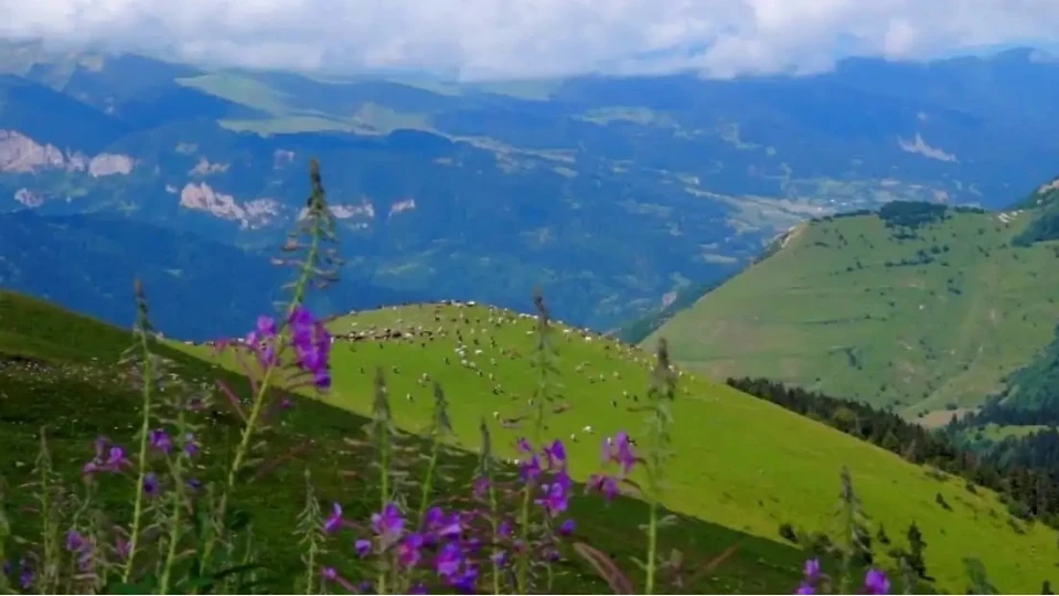 B�lb�lan Yaylas�: Do�an�n dinginli�i ve y�zy�llard�r s�regelen yaylac�l�k k�lt�r�