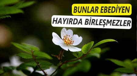 Bunlar ebediyen hayırda birleşmezler