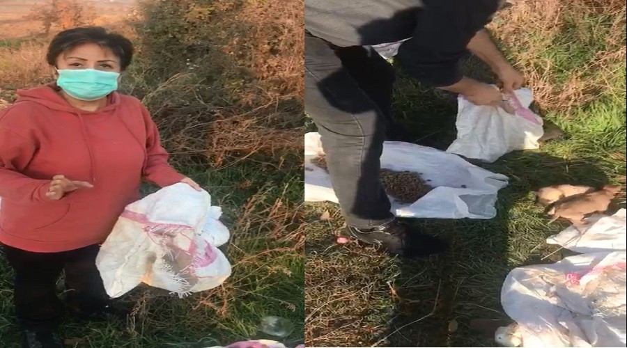 Bunun adı vicdansızlık