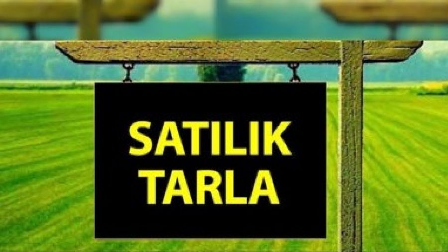   Bursa Orhangazi'de sat�l�k tarla