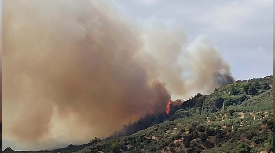 Bursa'da arlar ttslerken orman yakt