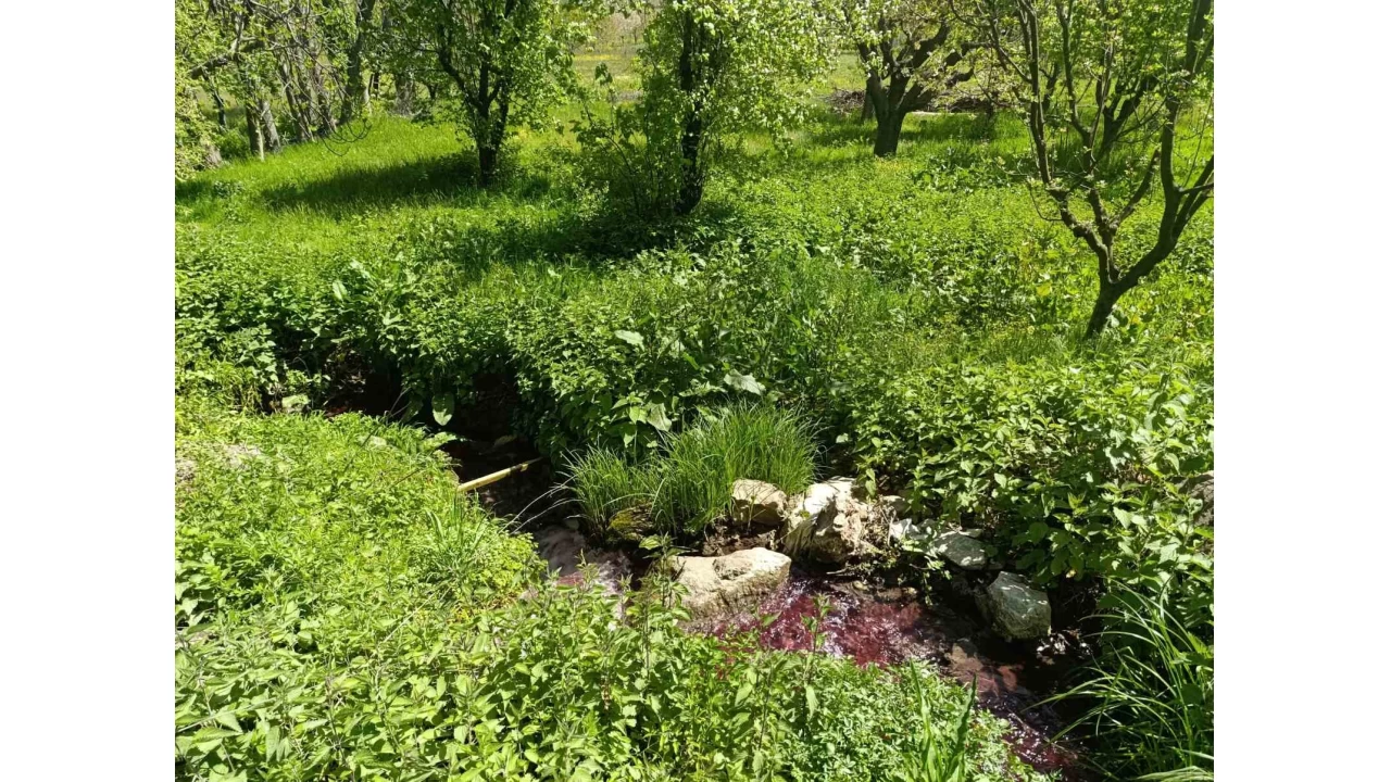 Bursa'da Gedelek Deresi 'kan' a�l�yor