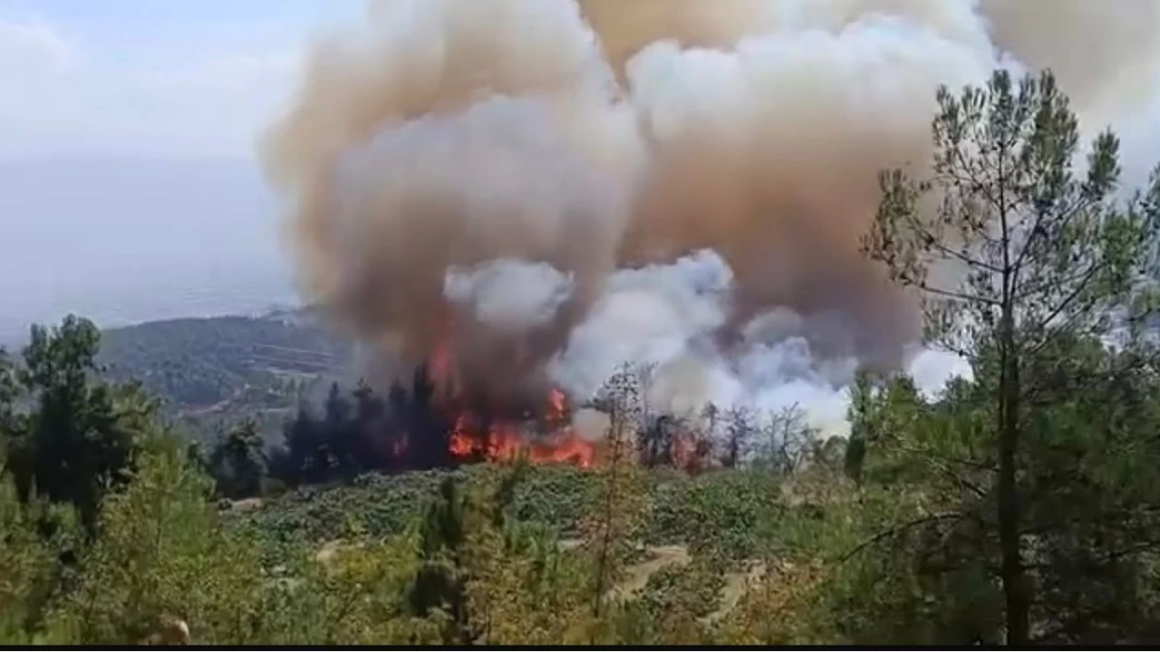 Bursa'daki orman yang�n� b�y�yor