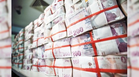 Bütçede 'aslan payı' Hazine'nin