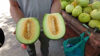 ankr tuzu bu kavunun tadna tat katyor